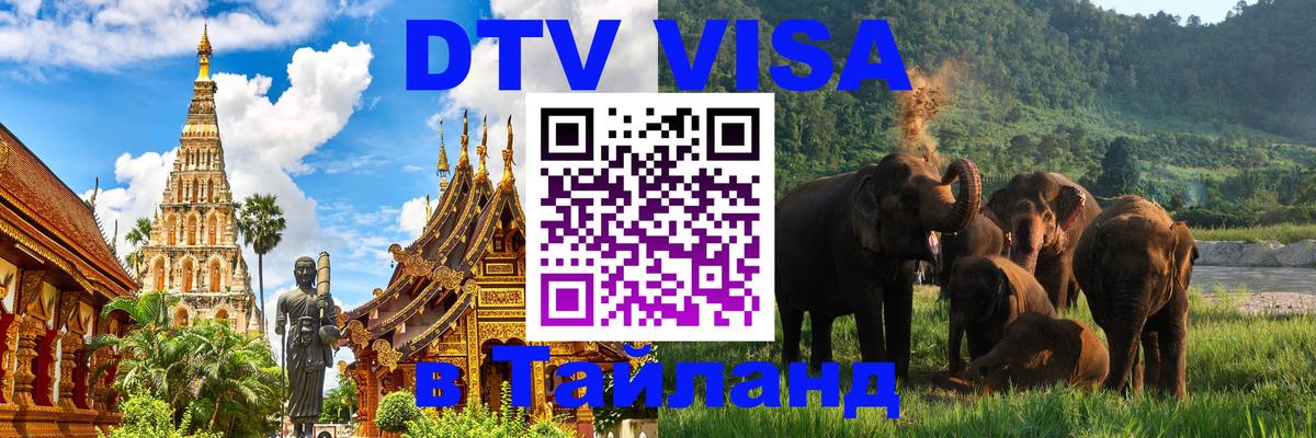 Сколько стоит DTV виза — актуальные цены, оформление даже без документов - Домодедово 